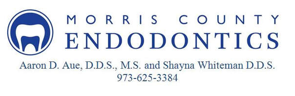 MORRIS COUNTY ENDODONTICS AARON D AUE DDS, MS AND SHAYNA WHITEMAN DDS 973-625-3384